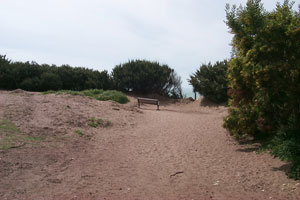 BEGINNING OF IMAGE DESCRIPTION. IMAGE IS A PHOTOGRAPH TAKEN FROM INSIDE THE NORTHERN BATTERY DAVIS TUNNEL.  LOOKING TOWARDS THE OCEAN AND THE SUNSET TRAIL, AT THE POINT WHERE THERE IS AN L SHAPED TURN IN THE TRAIL, A NEW, MODERN-STYLE BENCH HAS BEEN INSTALLED CLOSE TO WHERE A BENCH HAD BEEN REMOVED.  HOWEVER, THIS NEW BENCH FACES OUT TO SEA THROUGH A GAP IN THE SHRUBBERY, AND THE  BENCH-SITTER'S BACK IS RIGHT NEXT TO THE SUNSET TRAIL.  END OF IMAGE DESCRIPTION.