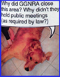 other photo is of a golden retriever with a caption reading, "Why did GGNRA close this area? Why didn't they hold public meetings as required by law?"