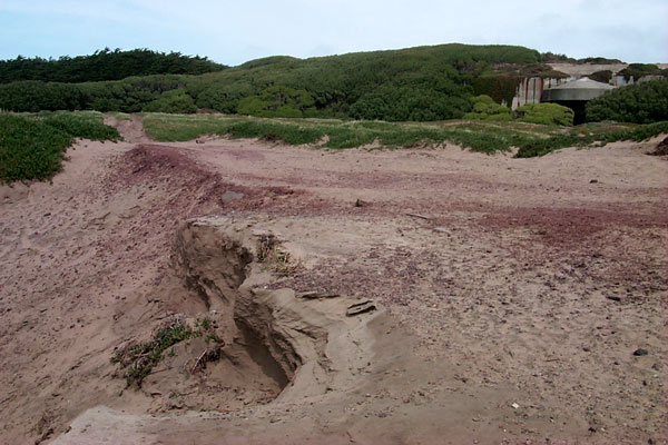 BEGINNING OF IMAGE DESCRIPTION.  THIS  IMAGE IS A PHOTOGRAPH SHOWING THE SUNSET TRAIL RECENTLY, WITH UNEVEN SAND, AND NO PAVEMENT.  IN THE FOREGROUND TO THE LEFT IS AN EMBANKMENT THAT IS ERODING INTO THE TRAIL, SPANNING AN AREA PERHAPS THE LENGTH OF ONE TO AT MOST TWO CITY BUSES AND NOT WIDER THAN A BUS.  THERE IS STILL A WIDE TRAIL REMAINING, AND THERE IS NO SIGN OF OTHER DAMAGE TO THE TRAIL.  THE SOUTHERN BATTERY DAVIS TUNNEL IS IN THE BACKGROUND AND THERE IS A LOT OF ICE PLANT AND OTHER GREENERY IN THE DISTANCE.  END OF IMAGE DESCRIPTION.