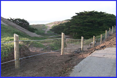 first photo showing a post and wire mesh fence with sand dunes and trees behind it