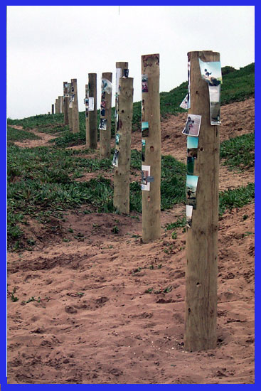 A photograph of  more than a dozen fence posts awaiting wire and mesh, with dozens of photographs posted on them.